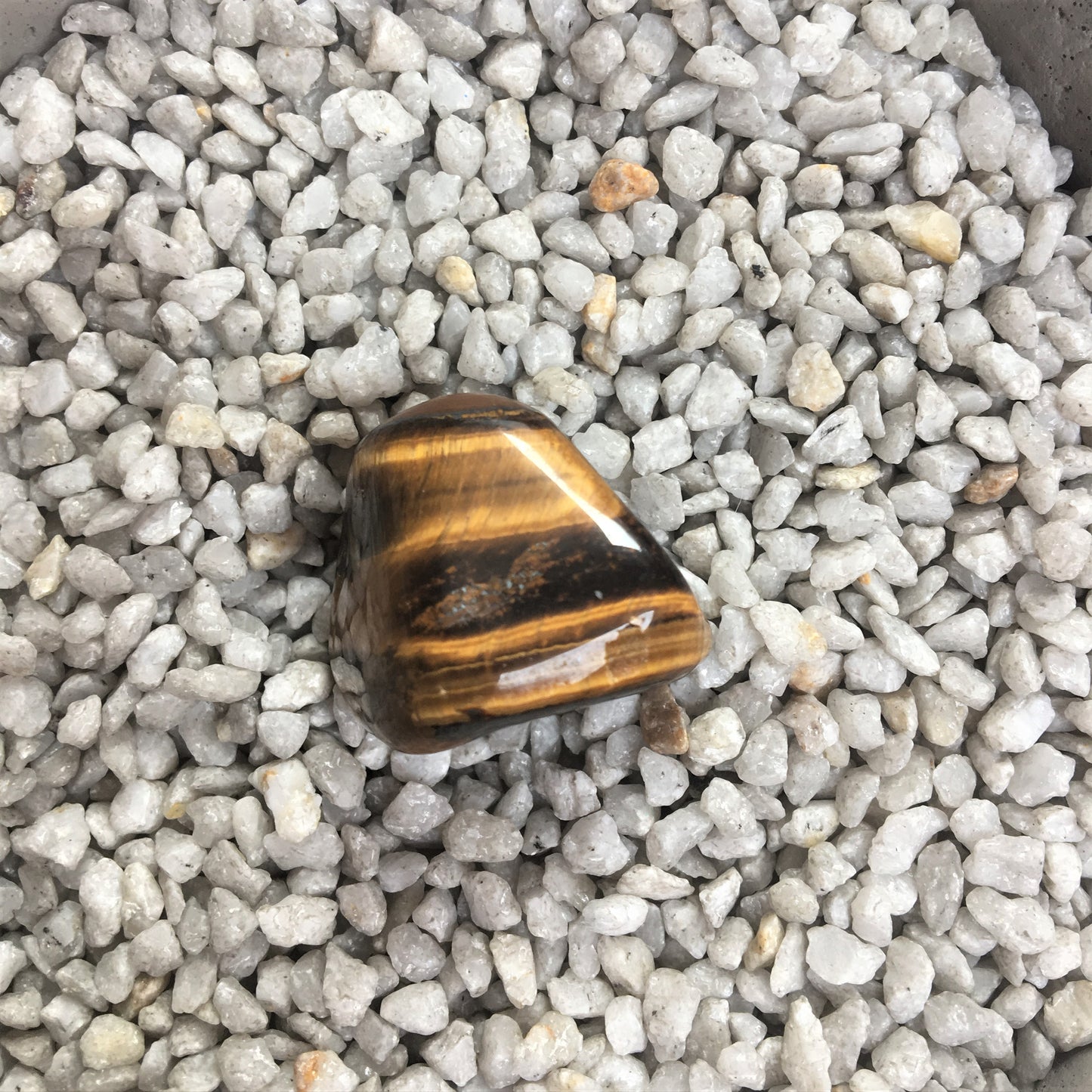 Tigerauge