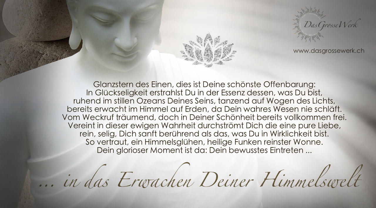 "Ein Leben in Wundern" von Kay Wedell