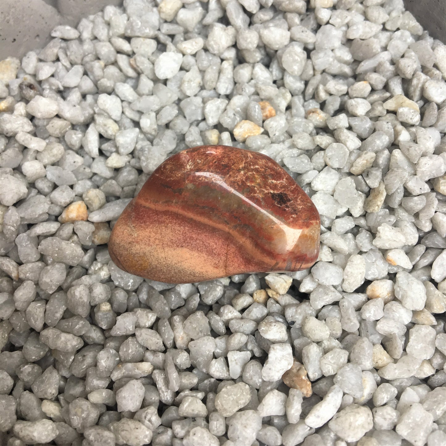 Regenbogenjaspis