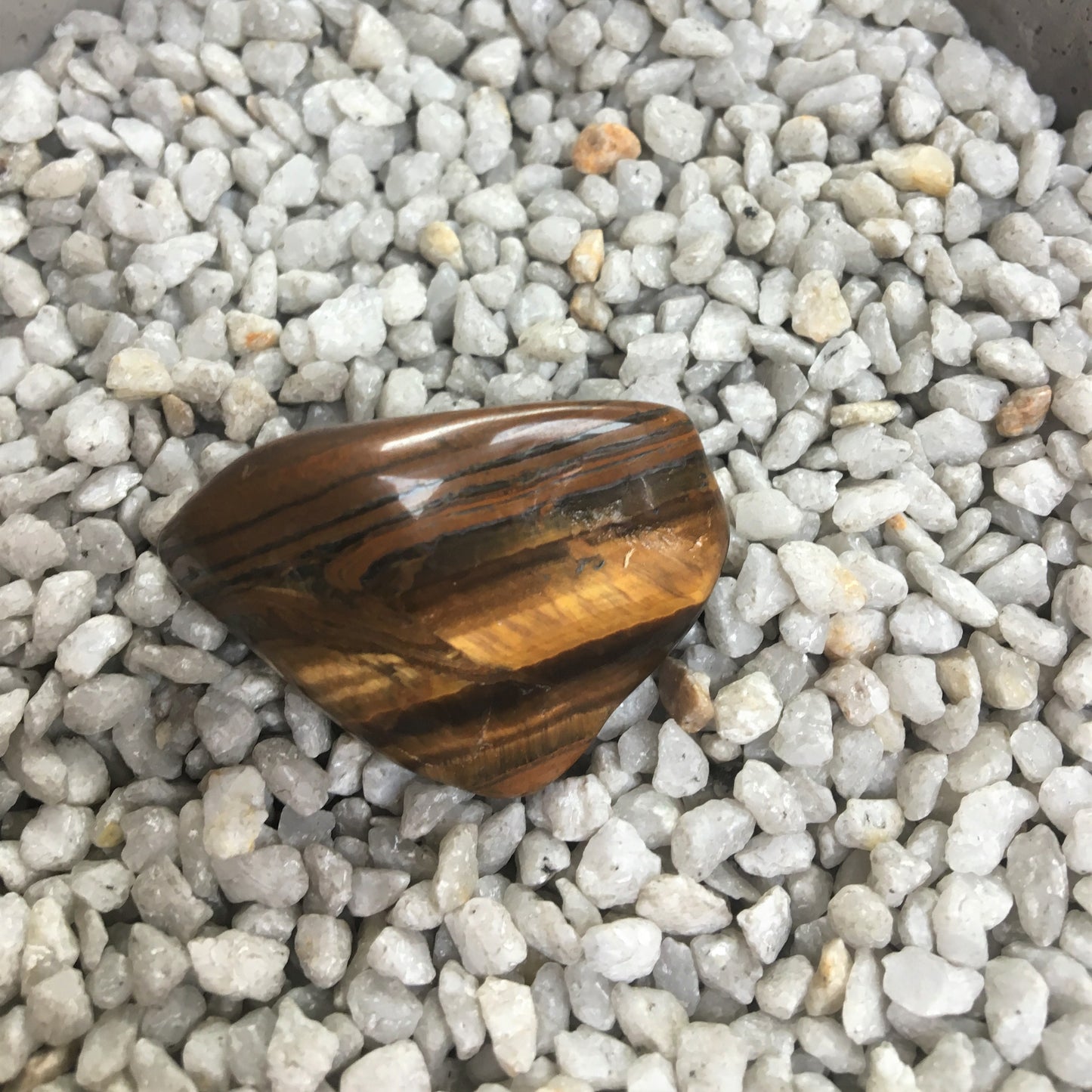 Tigerauge
