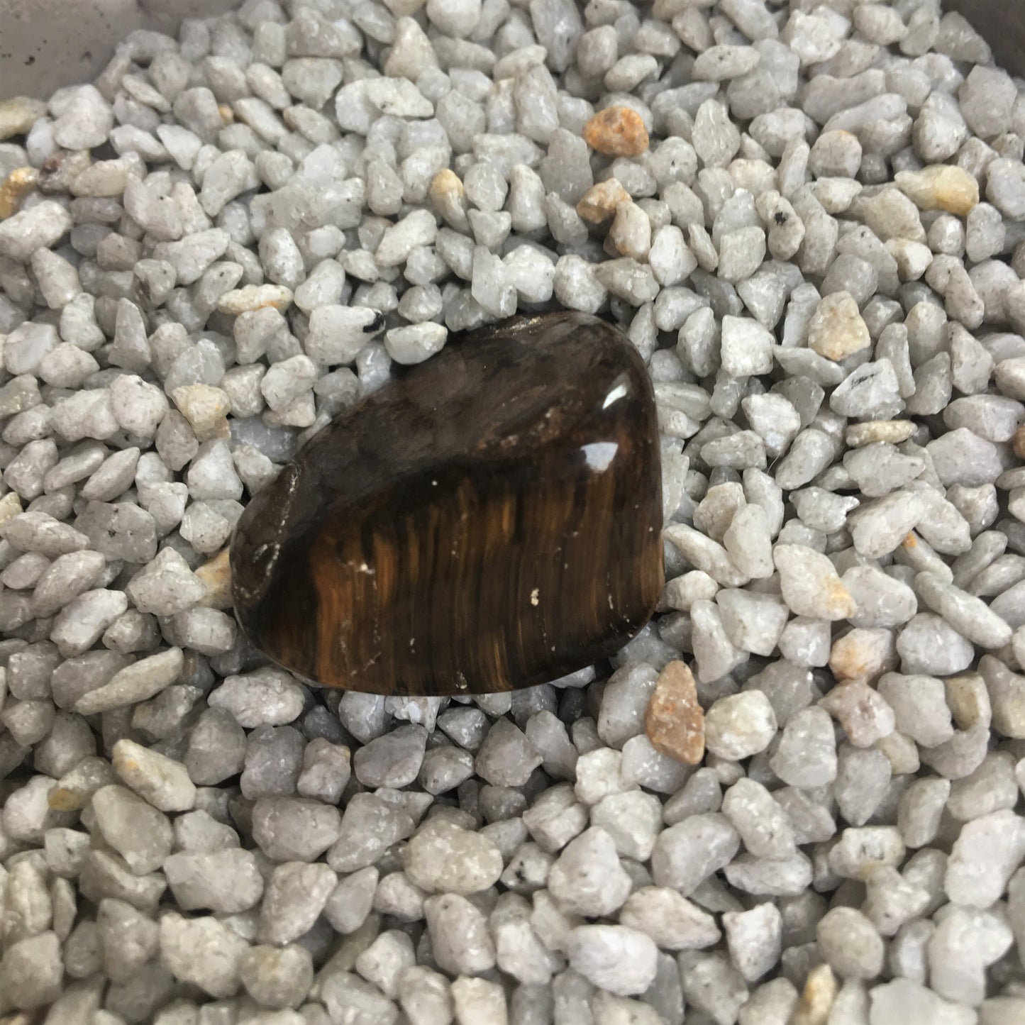 Tigerauge