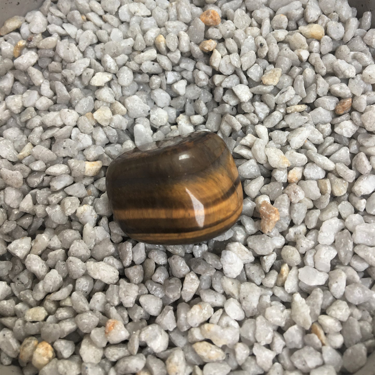 Tigerauge