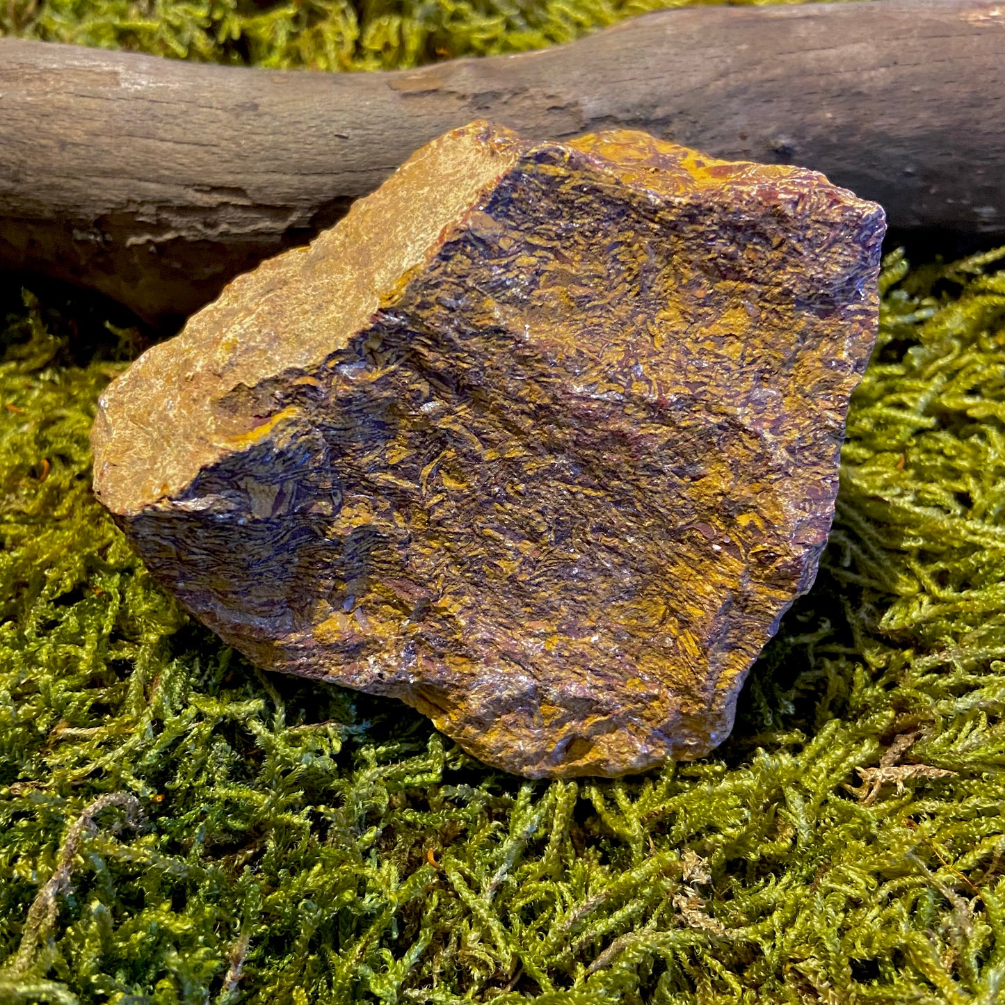Schlangenjaspis