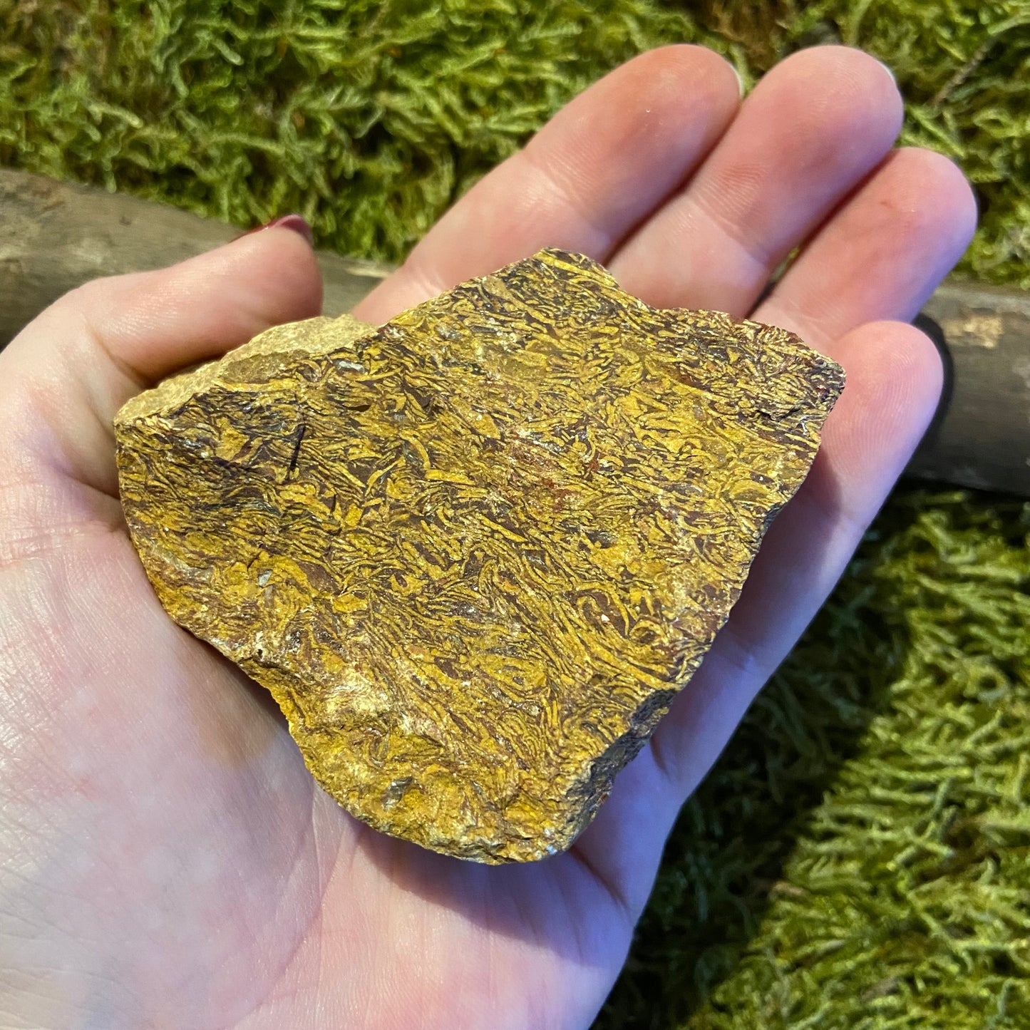 Schlangenjaspis