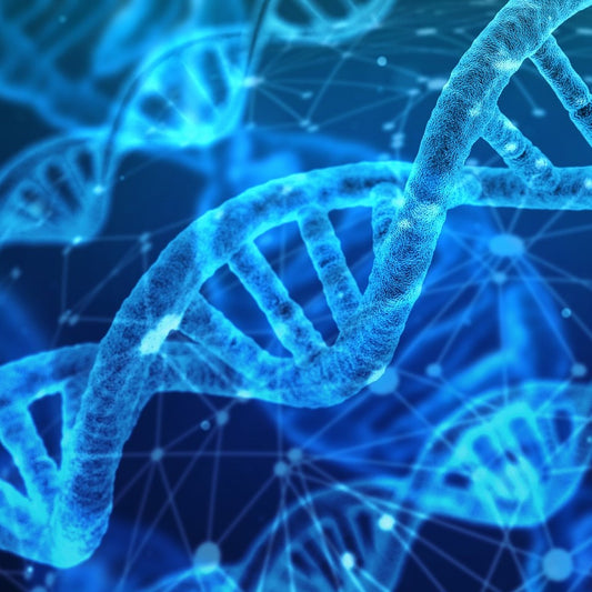 DNA Reiki