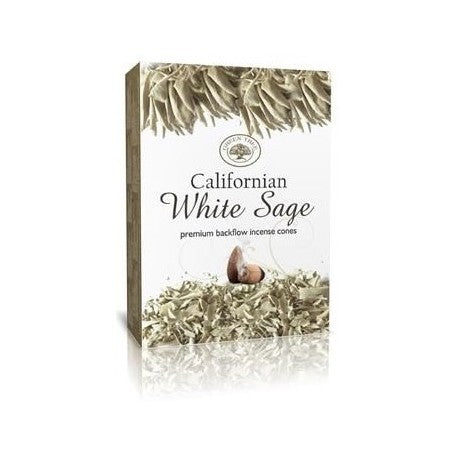 Rückflusskegel White Sage